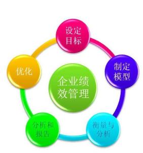 企業(yè)績效管理軟件開發(fā) 驅(qū)動組織卓越的關(guān)鍵引擎